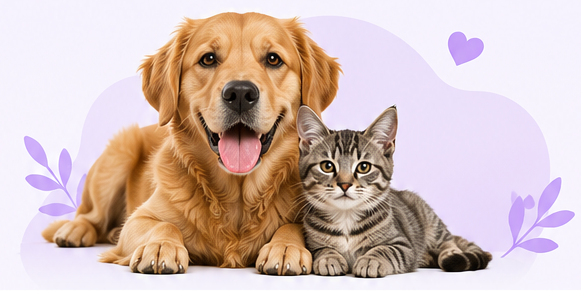 Un perro y un gato juntos